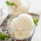 fresh mint ice cream fresh mint ice cream close-up