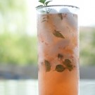 peach mojito peach mojito