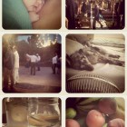 summer instagram collage summer instagram collage