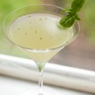 basil gimlet basil gimlet recipe