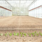 chefs-garden-greenhouse chefs-garden-greenhouse