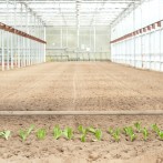 chefs-garden-greenhouse