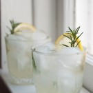 rosemary gin fizz recipe rosemary gin fizz recipe