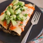Black Bean Enchiladas with Roasted Red Pepper Sauce