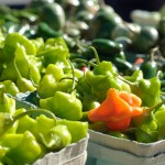 Eating Local