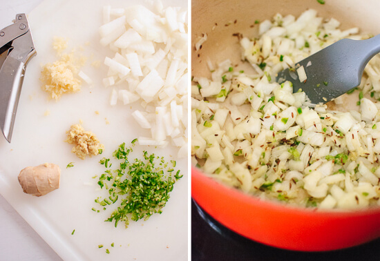 onions, garlic, ginger, and cumin