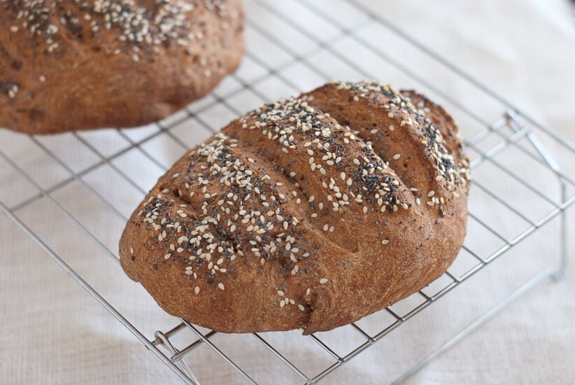 whole wheat bread in 5 minutes a day