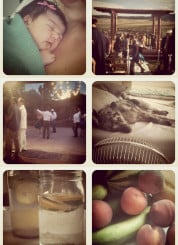 summer instagram collage