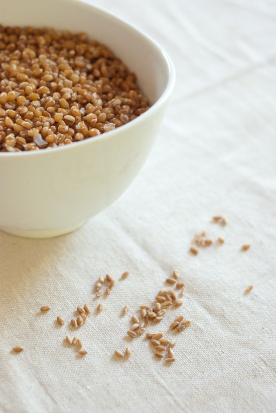 how to cook wheat berries