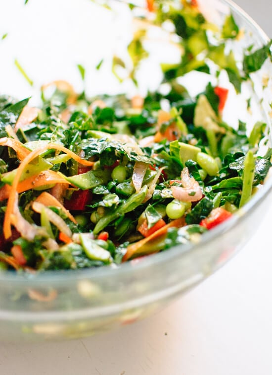 Healthy chopped kale salad with Asian flavors - cookieandkate.com