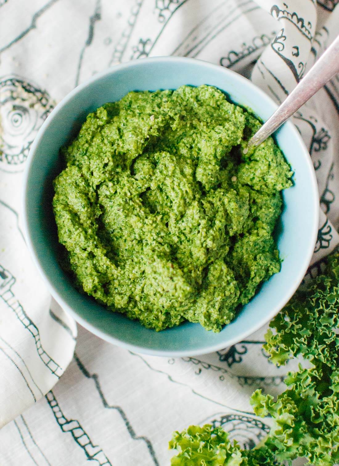Kale, hemp and flaxseed oil pesto (delicious, full of Omega 3's and ready in 5 minutes) - cookieandkate.com