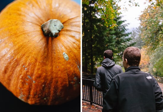 pumpkin and Portland