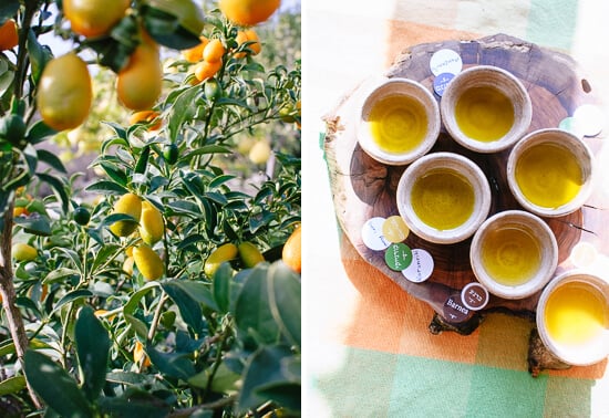 lemon and olive oil
