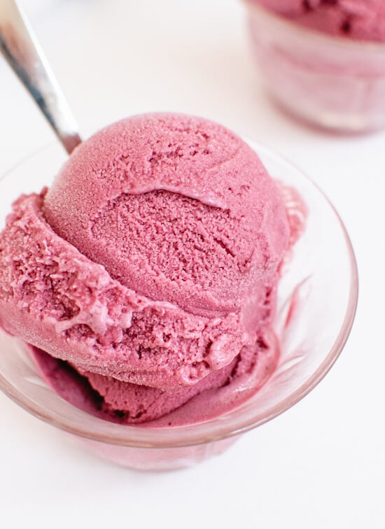 Blueberry frozen yogurt - cookieandkate.com