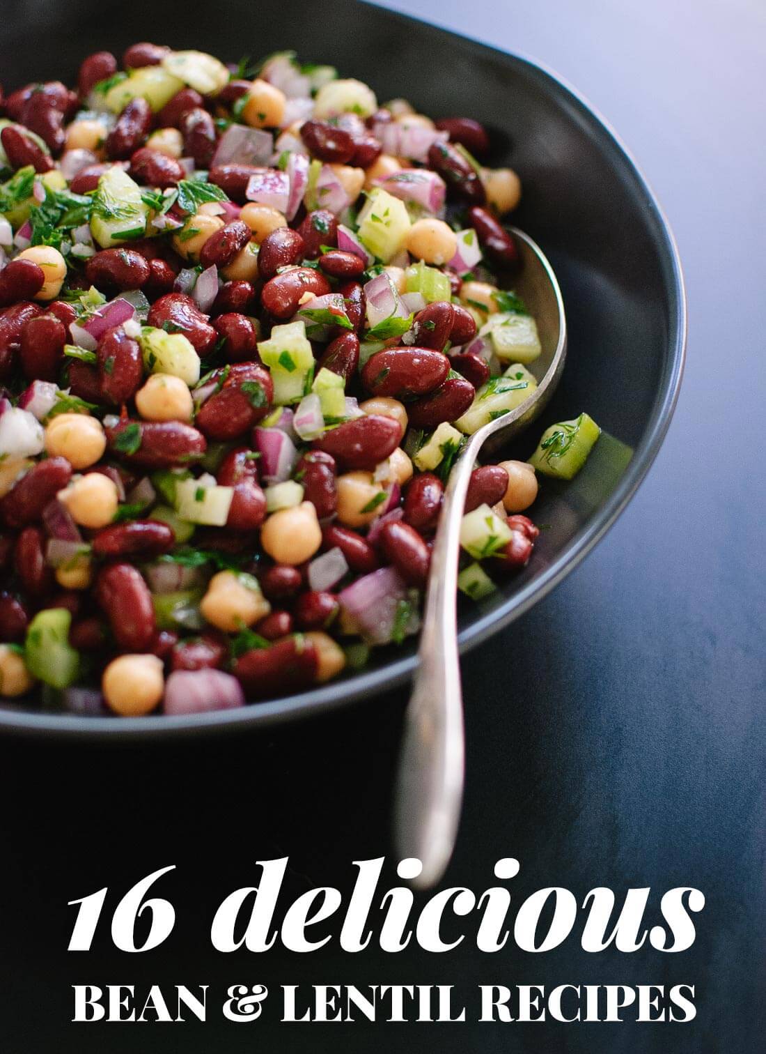 Find 16 amazing recipes made with black beans, chickpeas, lentils and more! All these recipes are vegetarian but rich in protein thanks to beans. cookieandkate.com