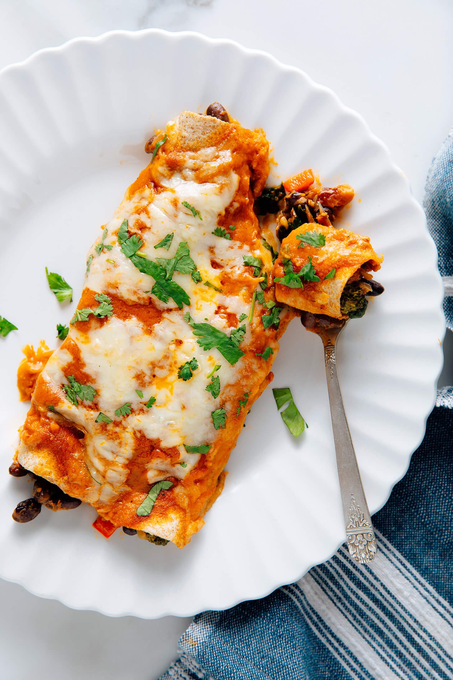 vegetarian enchiladas recipe