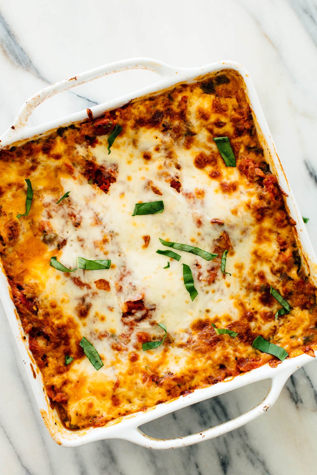 This amazing veggie lasagna recipe will please the carnivores in your life! It's cheesy, delicious and loaded with vegetables and spinach.