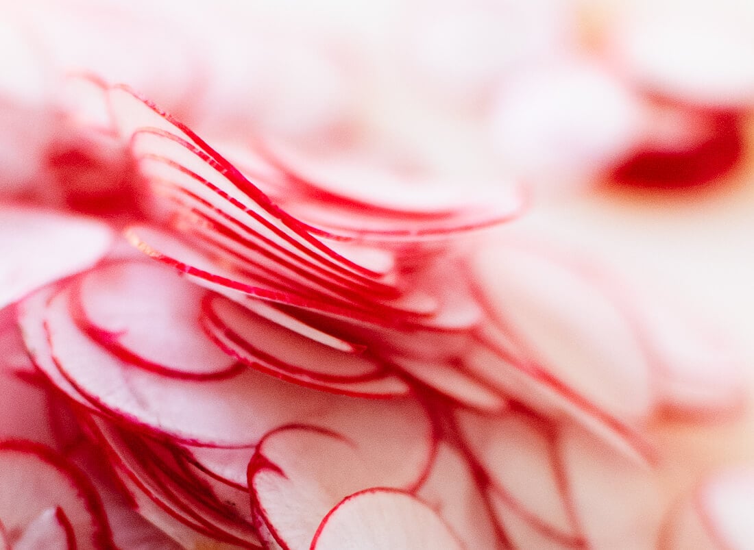 Thinly sliced radishes