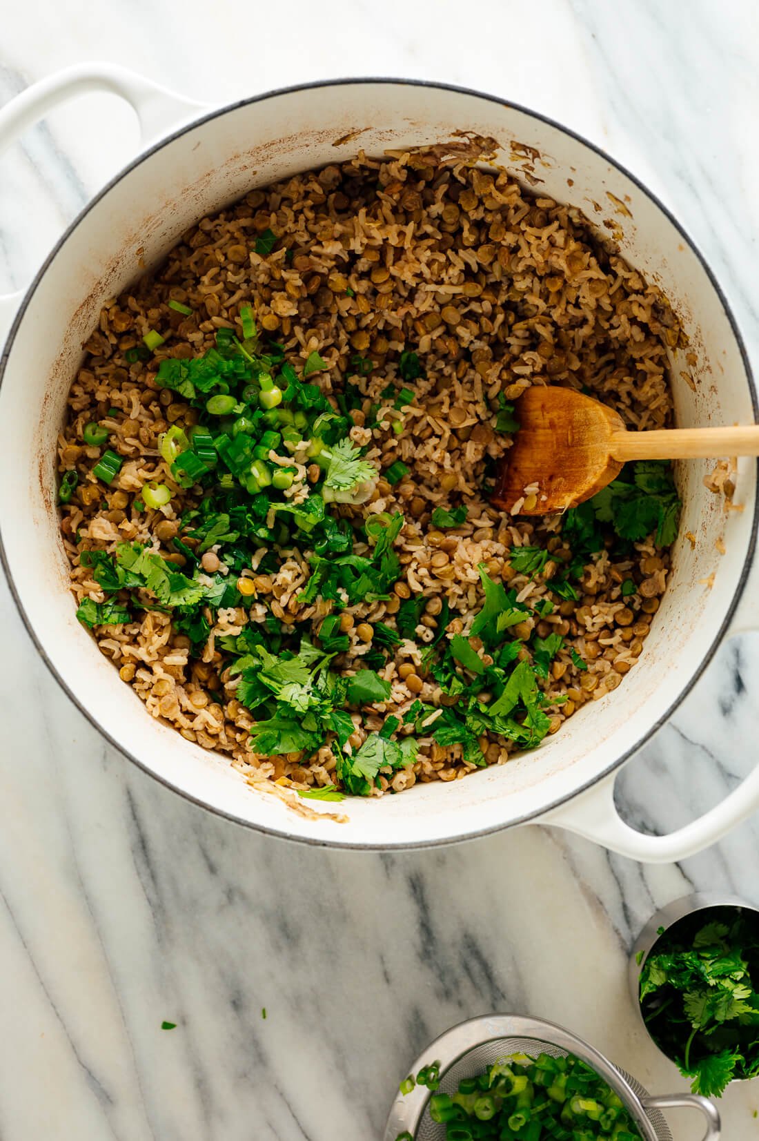 cooked lentils, brown rice and herbs
