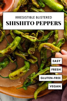 irresistible blistered shishito peppers