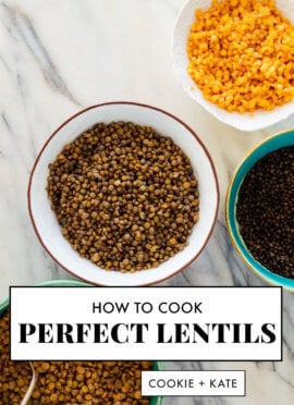 best lentil recipe