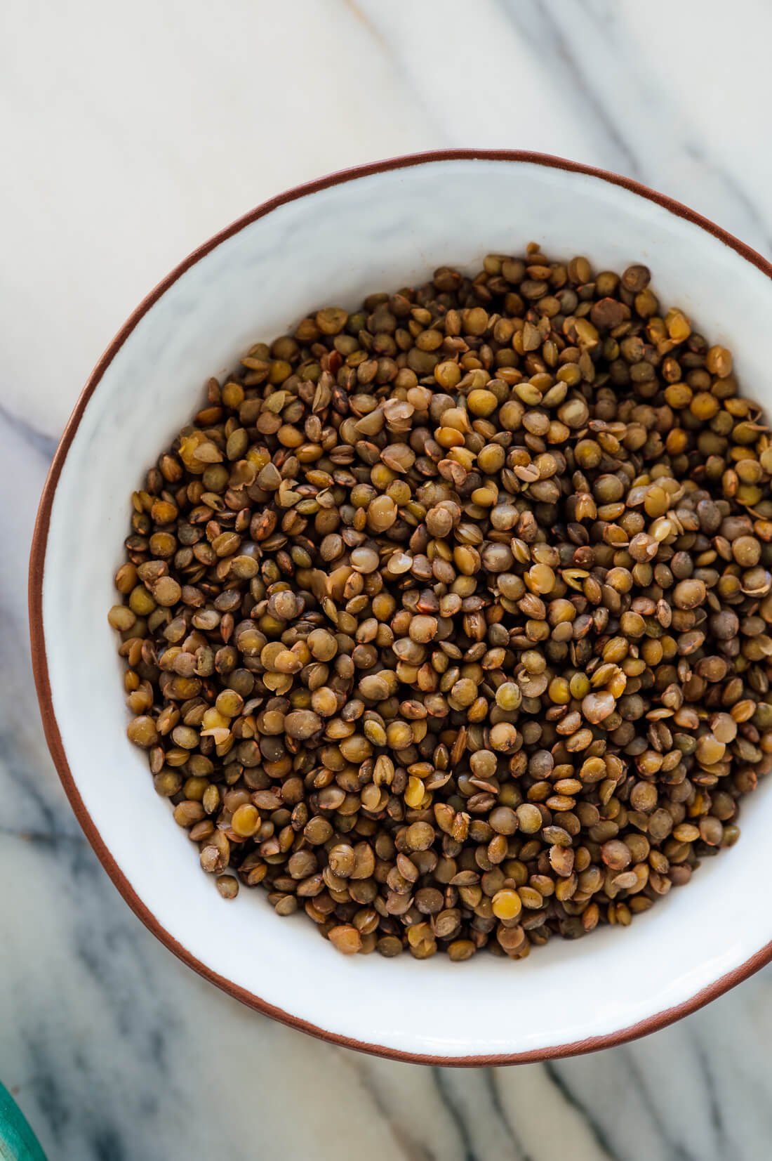 perfectly cooked French green lentils
