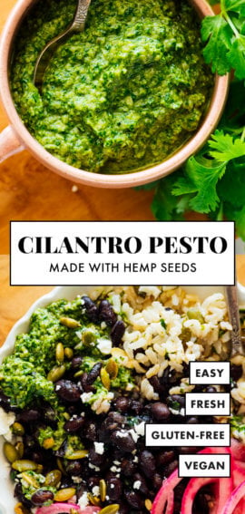 cilantro pesto with hemp seeds
